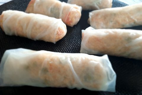 Cliquez pour zoomer ! Nems au poulet Thermomix par titikaka