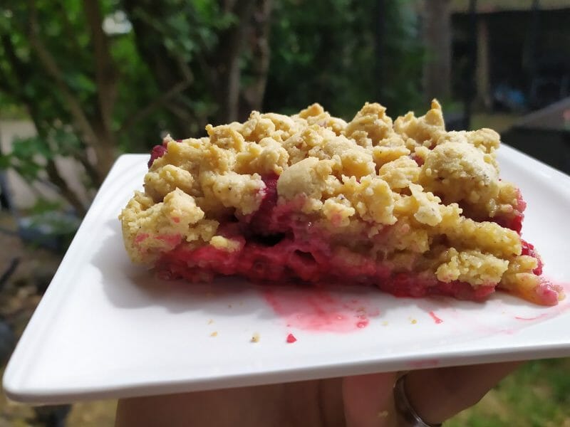 Cliquez pour zoomer ! Cookie-crumble rhubarbe framboises Thermomix par spongerod