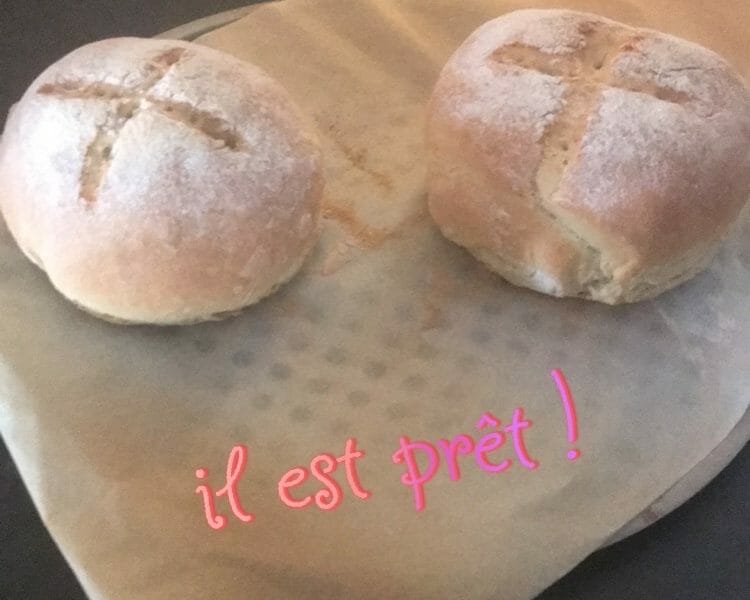 Cliquez pour zoomer ! Baguettes Thermomix par nini83
