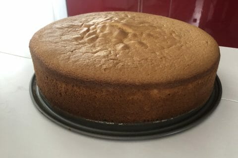 Cliquez pour zoomer ! Shortcake aux fraises Thermomix par osiris2105