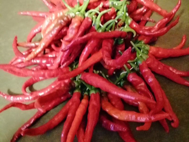 Cliquez pour zoomer ! IMG_20191014_083035 Thermomix par 🥐 Jacques27 🌝