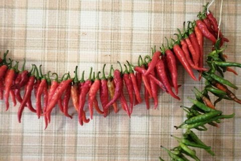 Cliquez pour zoomer ! image-b795db4d-deac-4001-aa6d-711dedb96871