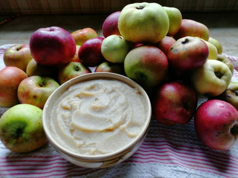 Compote pomme châtaigne au Thermomix Cookomix