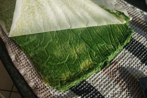 Cliquez pour zoomer ! Roulé aux épinards, saumon et Boursin au Thermomix