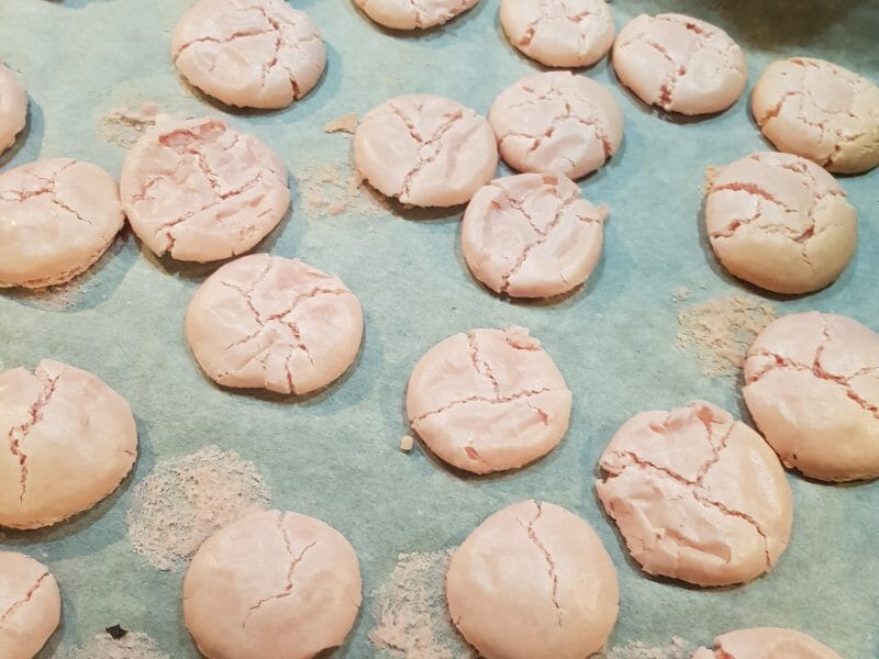 Cliquez pour zoomer ! Macarons Thermomix par chachz