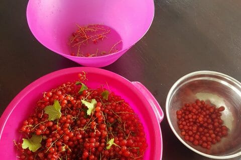 Cliquez pour zoomer ! Gelée de groseilles Thermomix par chachz