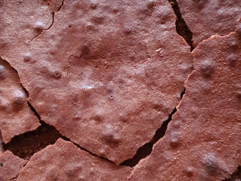 Cliquez pour zoomer ! Gâteau macaroné au chocolat Thermomix par capik