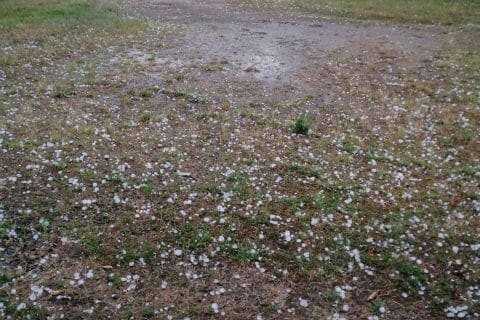 Cliquez pour zoomer ! Photo de dutourmartine