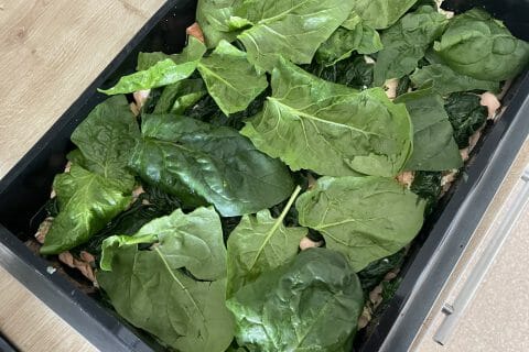 Cliquez pour zoomer ! Parmentier de saumon aux épinards Thermomix par hysami