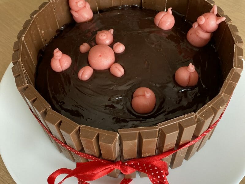 Cliquez pour zoomer ! La mare aux cochons Thermomix par titou2308