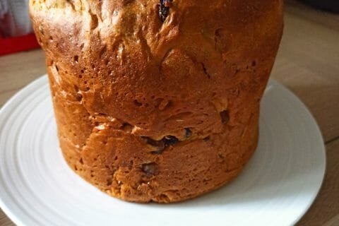 Cliquez pour zoomer ! Panettone Thermomix par fa3185