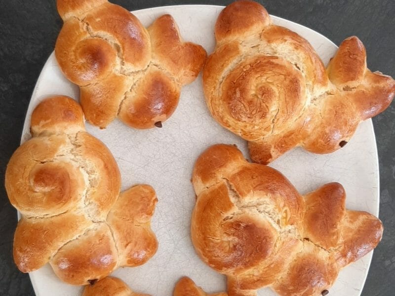 Cliquez pour zoomer ! Brioches lapin de Pâques Thermomix par melvince29