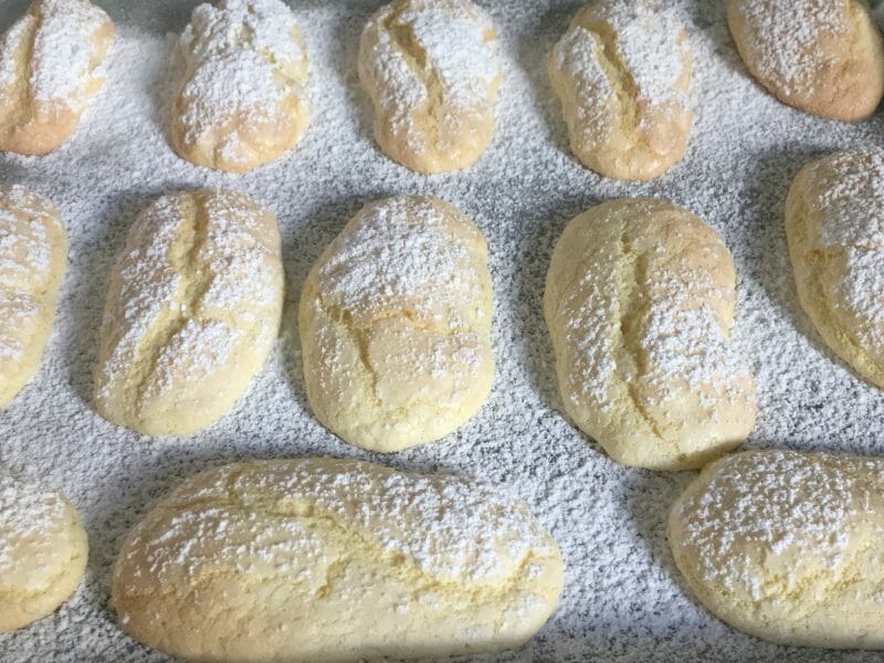 Biscuits à la cuillère Thermomix par pascalina peltier