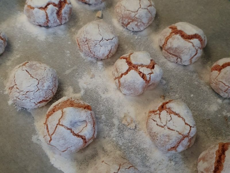 Cliquez pour zoomer ! Craquelés aux biscuits roses de Reims Thermomix par laura1403