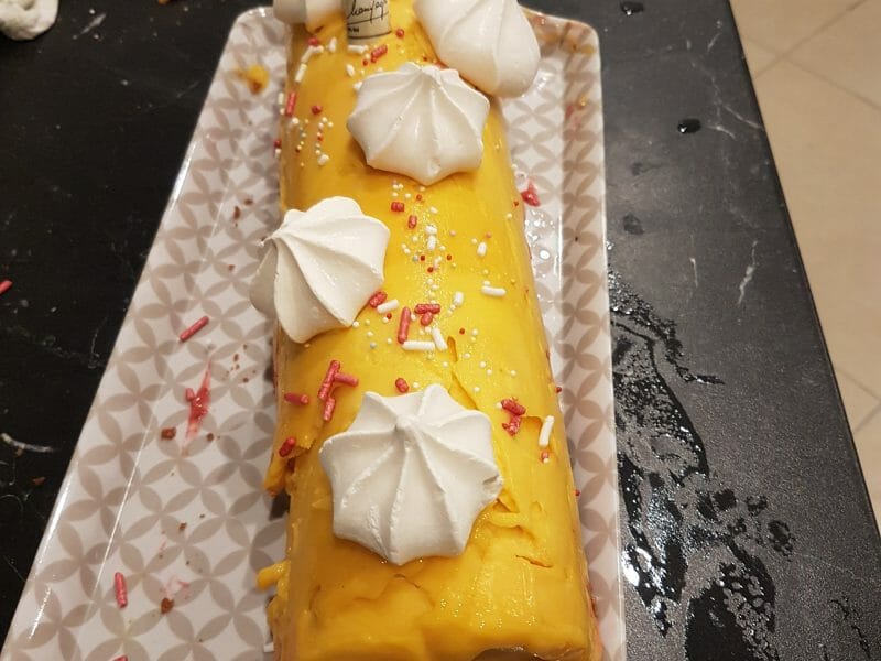 Cliquez pour zoomer ! Bûche glacée mangue et framboise Thermomix par neness2coco
