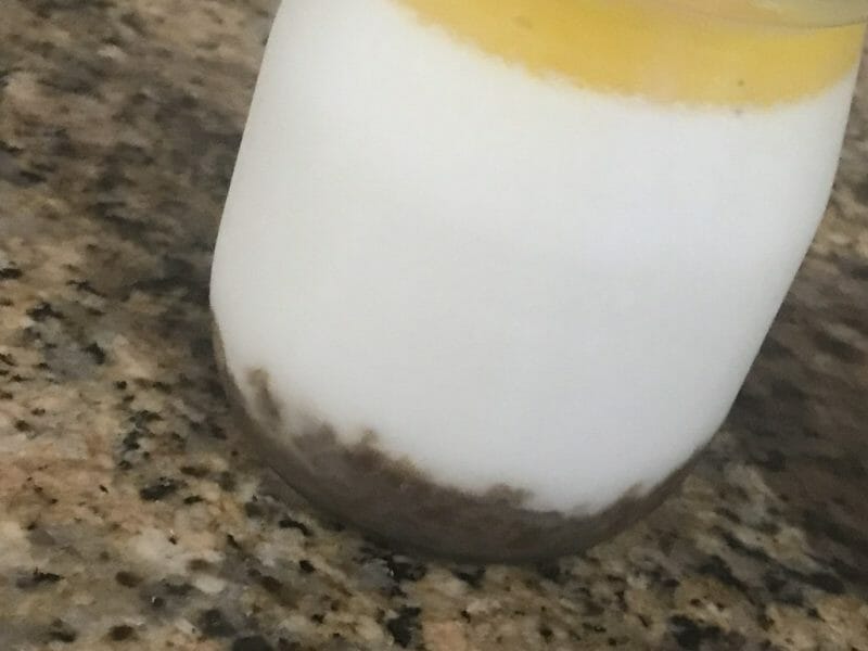 Cliquez pour zoomer ! Panna cotta citron sur sablé spéculoos et miroir de mangue Thermomix par Chabine09