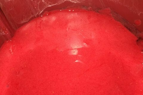 Cliquez pour zoomer ! Pâte de fruits à la pomme Thermomix par Chabine09