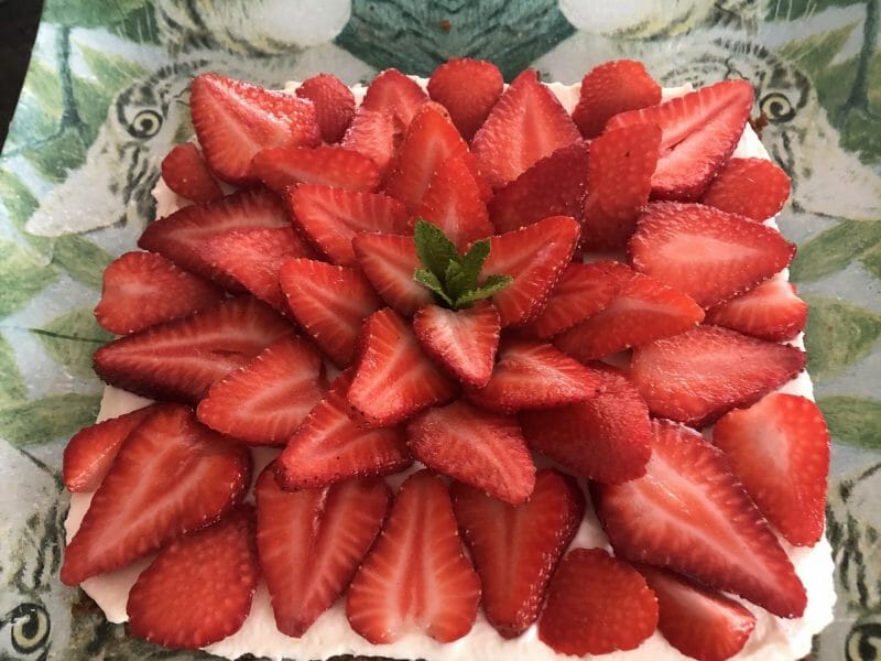 Cliquez pour zoomer ! Tarte aux fraises sans cuisson Thermomix par Céline