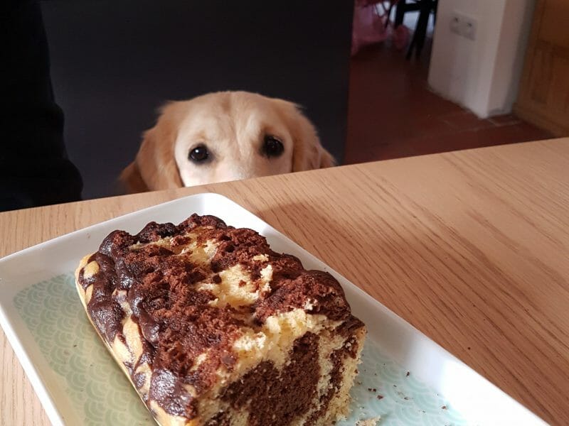 Cliquez pour zoomer ! Savane au Varoma Thermomix par evanevanou