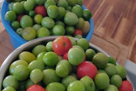 Cliquez pour zoomer ! Confiture de tomates vertes Thermomix par mathildejun