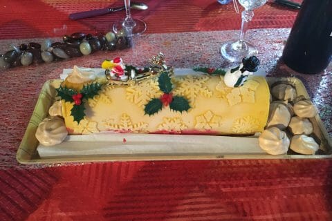 Cliquez pour zoomer ! Bûche glacée mangue et framboise Thermomix par laeti33370