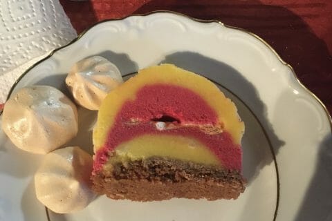 Cliquez pour zoomer ! Bûche glacée mangue et framboise Thermomix par laeti33370