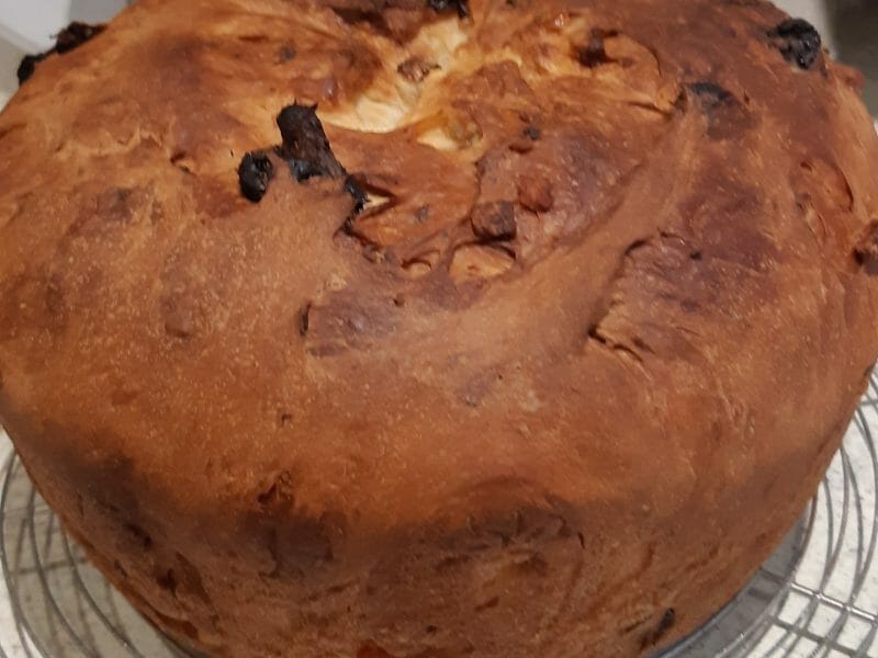 Cliquez pour zoomer ! Panettone Thermomix par Gaguy Aline