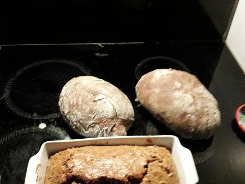 Cliquez pour zoomer ! Pain aux olives Thermomix par tof42