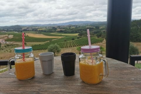 Cliquez pour zoomer ! Smoothie mangue ananas Thermomix par aurelia2727