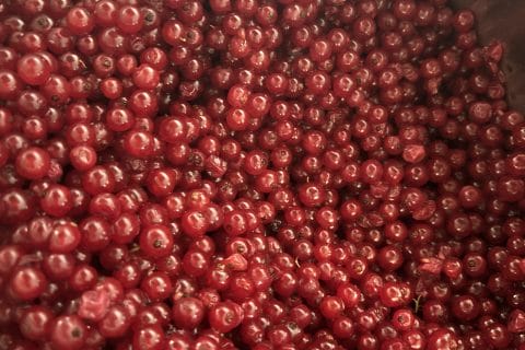 Cliquez pour zoomer ! Gelée de groseilles Thermomix par sisi51200