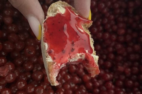 Cliquez pour zoomer ! Gelée de groseilles Thermomix par sisi51200