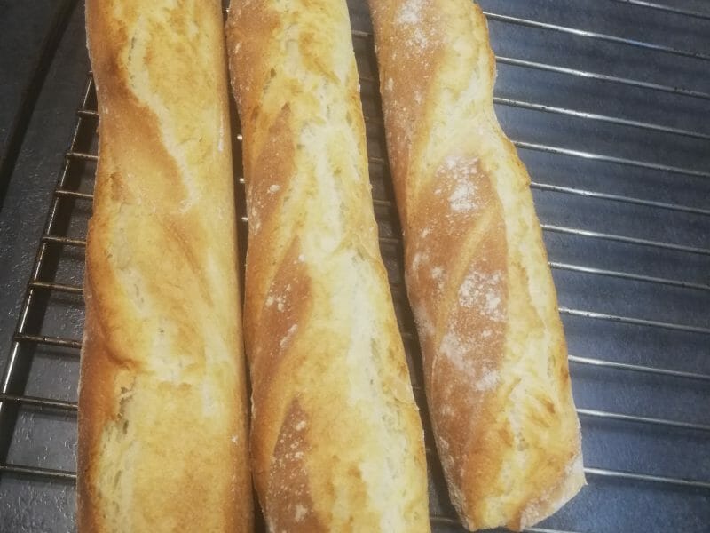 Cliquez pour zoomer ! Baguettes Thermomix par laura1787