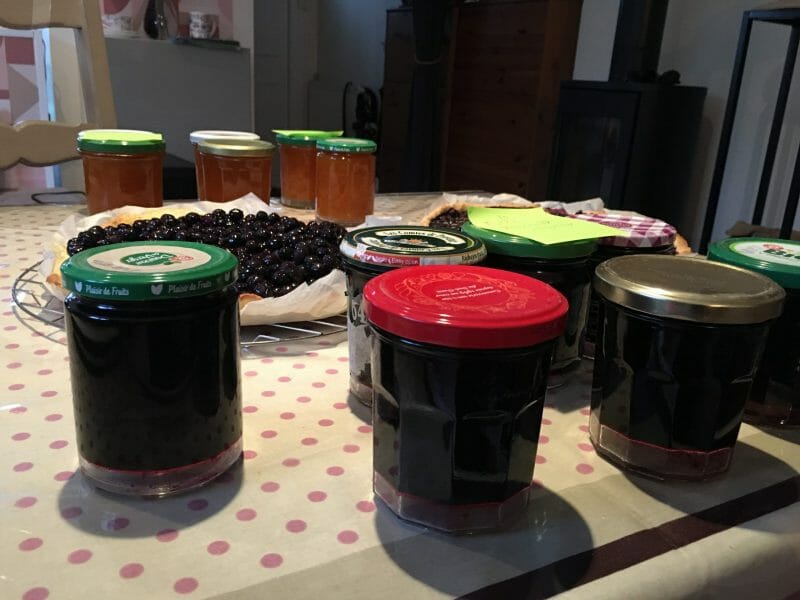 Confiture de myrtilles au Thermomix - Cookomix