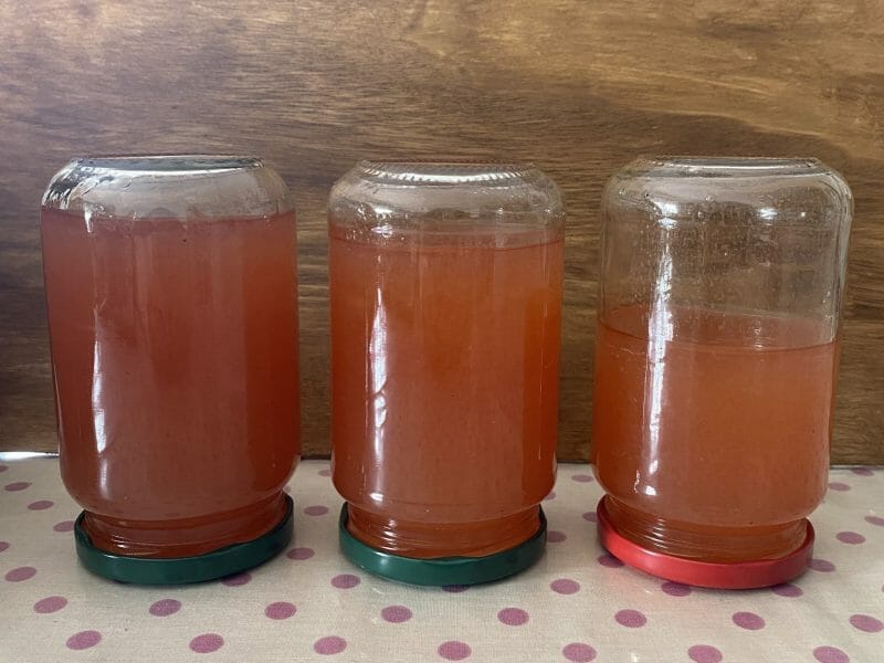 Cliquez pour zoomer ! Gelée de coings façon Cotignac Thermomix par Gérontille