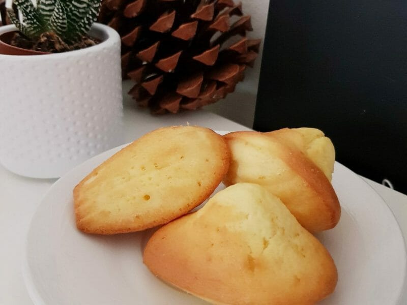 Cliquez pour zoomer ! Madeleines Thermomix par tatacricri777
