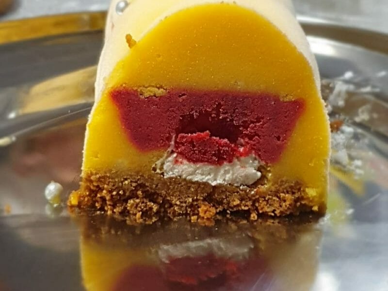 Cliquez pour zoomer ! Bûche glacée mangue et framboise Thermomix par Mel