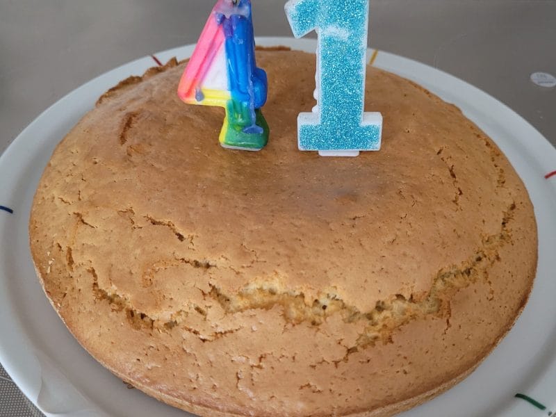 Cliquez pour zoomer ! Le gâteau suédois de Castor Thermomix par barbara2201