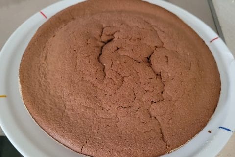 Cliquez pour zoomer ! Gâteau chocolat noix de coco Thermomix par barbara2201