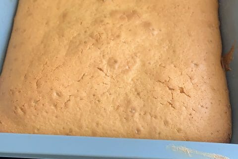 Cliquez pour zoomer ! Cake express Thermomix par chamiyas