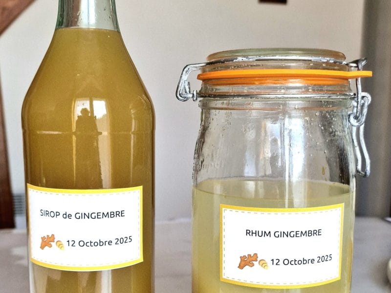 Cliquez pour zoomer ! Sirop de gingembre Thermomix par claude78580