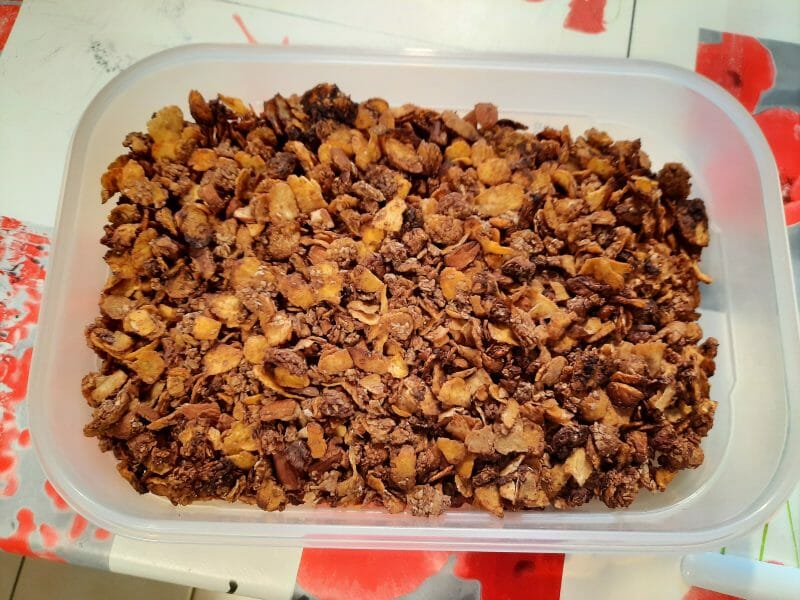 Cliquez pour zoomer ! Granola au chocolat Thermomix par nougateene
