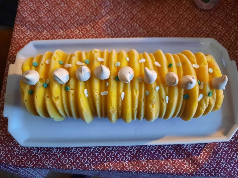 Cliquez pour zoomer ! Bûche glacée mangue et framboise Thermomix par nougateene