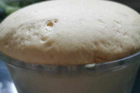 Cliquez pour zoomer ! Brioche aux pralines roses Thermomix par jeenyma