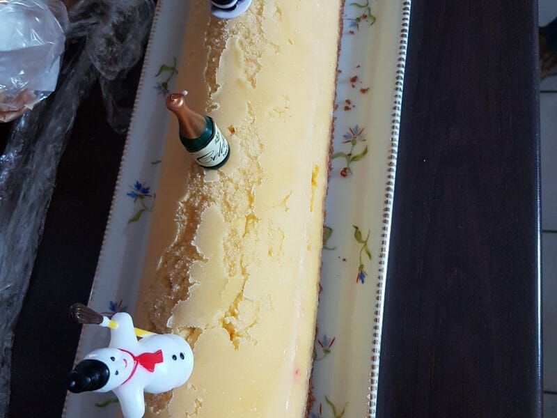 Cliquez pour zoomer ! Bûche glacée mangue et framboise Thermomix par marjo27