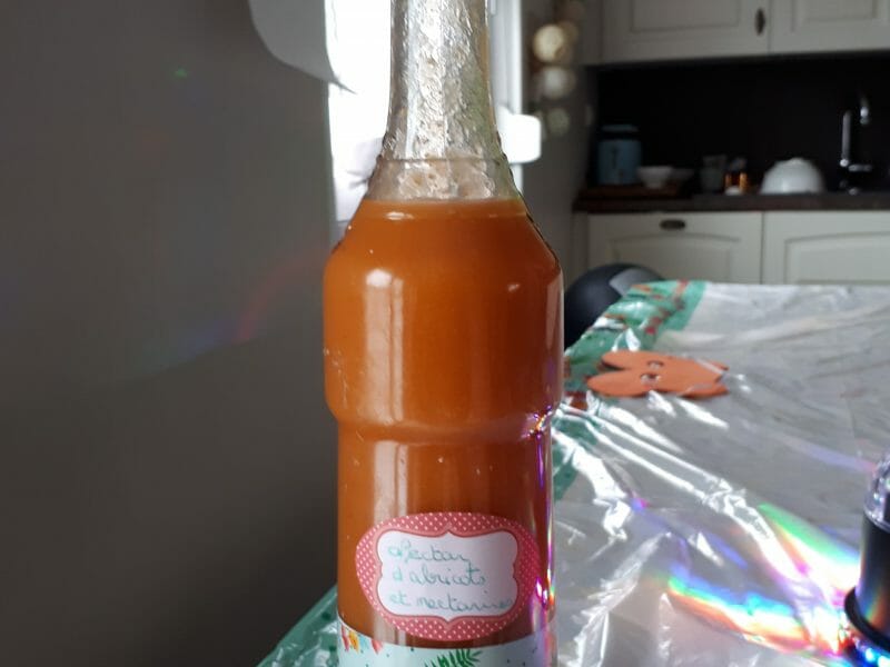 Cliquez pour zoomer ! Nectar d’abricot Thermomix par meliouche