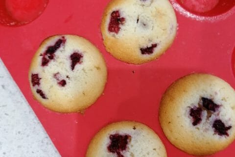Cliquez pour zoomer ! Financiers Thermomix par coralie43600