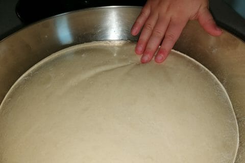 Cliquez pour zoomer ! Brioche Buchty Thermomix par coralie43600