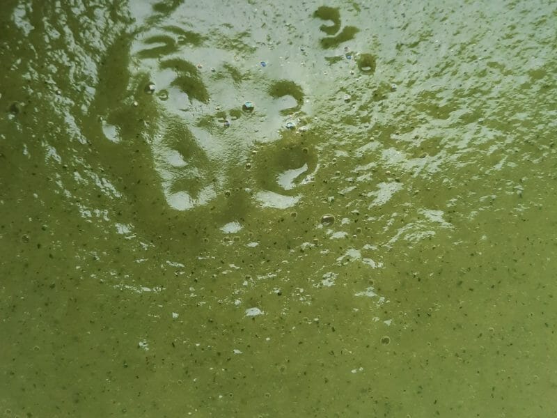 Cliquez pour zoomer ! Velouté de courgettes Thermomix par alebane