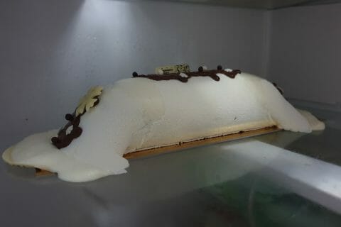 Cliquez pour zoomer ! Bûche Ferrero Rocher Thermomix par endorphines