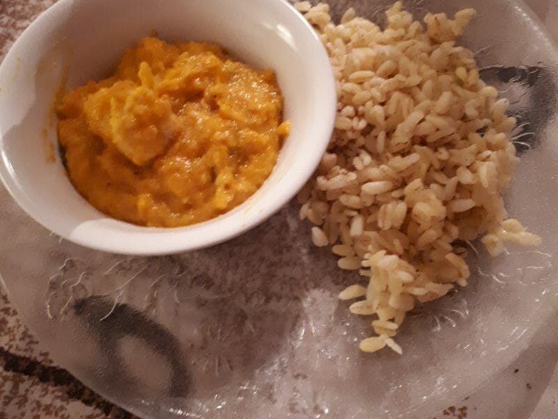 Cliquez pour zoomer ! Bouchées de poulet aux carottes Thermomix par riri2289